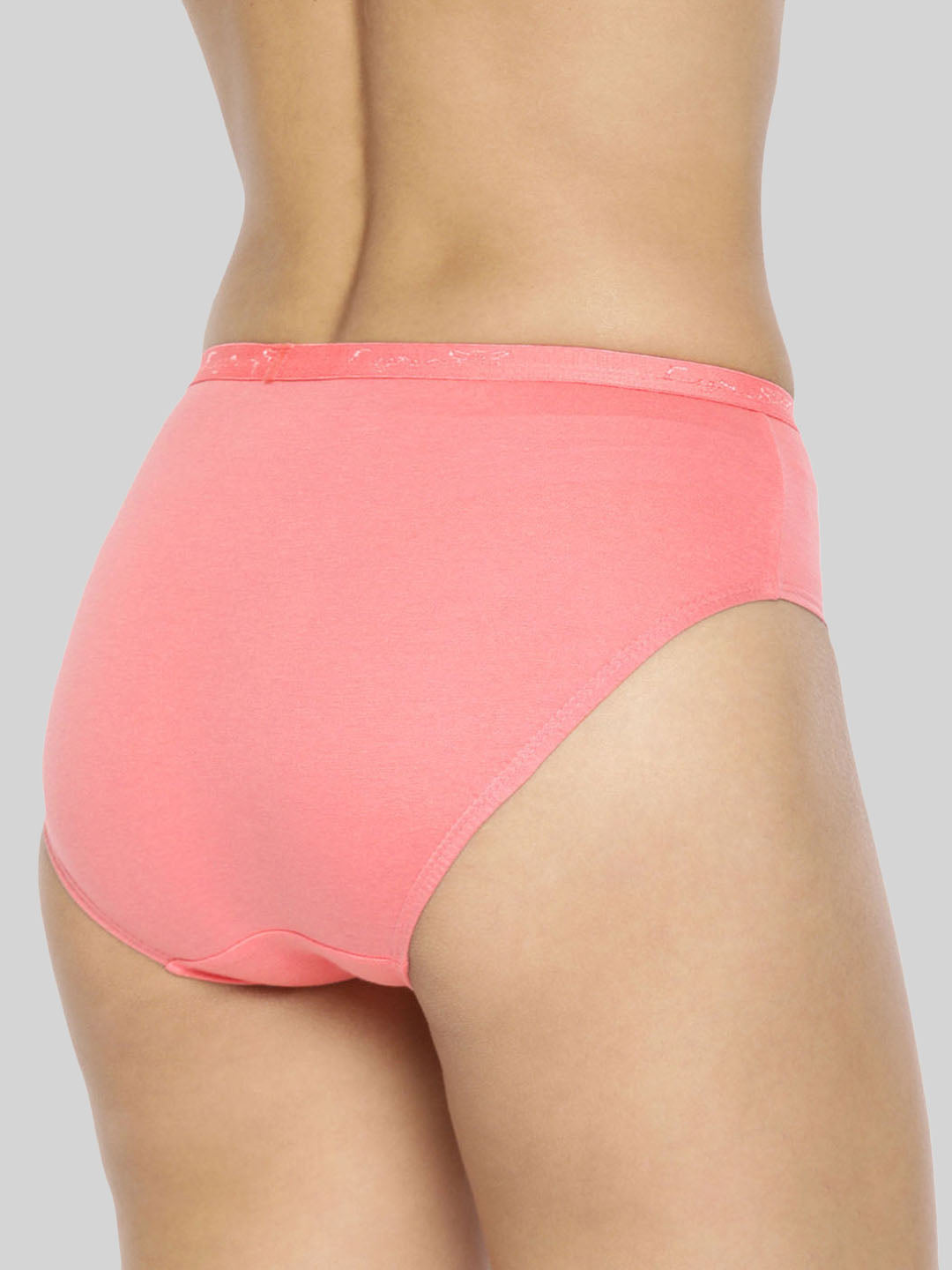 Solid Outer Elastic Hipster Assorted Color Panty #201